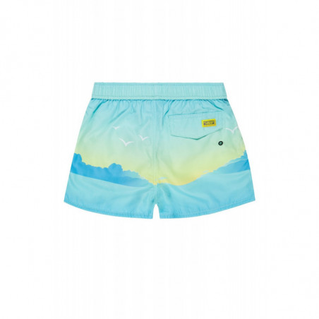 SWIMSHORT